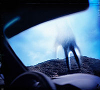NINE INCH NAILS - Year zero             