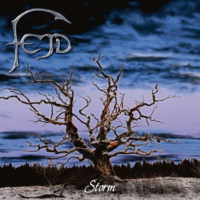 FEJD - Storm                            