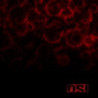 OSI - Blood - limited                   
