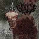 EXALTATION -Tales of total sickness     