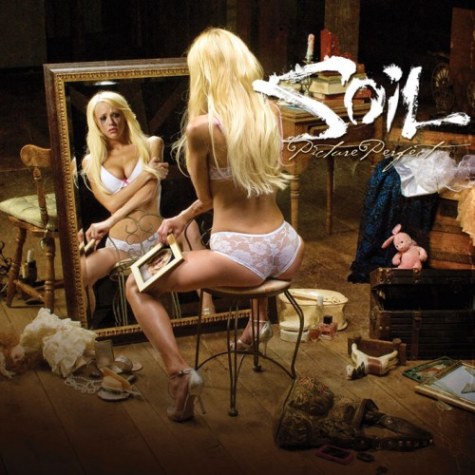 SOIL - Picture perfect                  