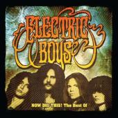 ELECTRIC BOYS - Now Dig This!           