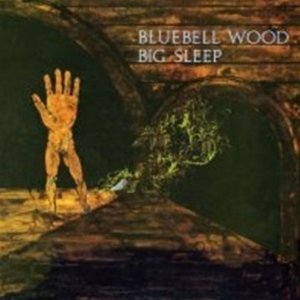 BIG SLEEP - Bluebell wood