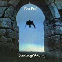 RARE BIRD - Somebody's watching