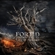 FORTID - Voluspa part III. Fall of th eages