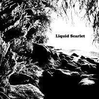 LIQUID SCARLET - Liquid scarlet