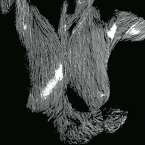 OCEANSIZE - Self Preserved While..             