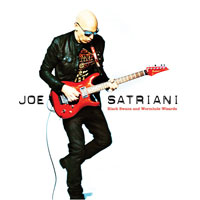 SATRIANI JOE - Black swans and wormhole wizards   
