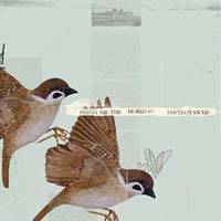 BRING ME THE HORIZON - This is what the edge your seat    