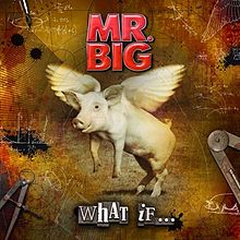 MR.BIG - What If CD+DVD