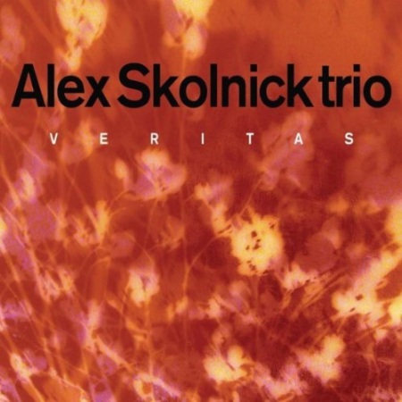 SKOLNICK ALEX TRIO - Veritas                            