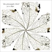 PINEAPPLE THIEF - 3000 Days...2CD