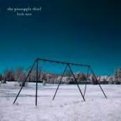 PINEAPPLE THIEF - Little Man