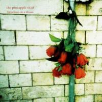 PINEAPPLE THIEF - Variations on a dream