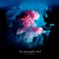 PINEAPPLE THIEF - All the wars 2CD