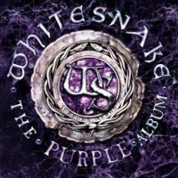 WHITESNAKE - Purple album