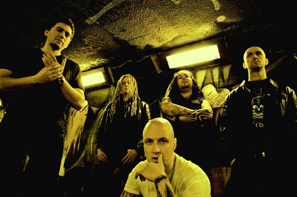 ROTTED - Anarchogram
